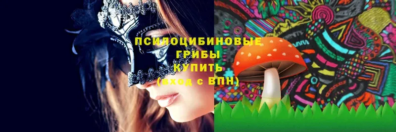 Псилоцибиновые грибы Magic Shrooms  Алейск 